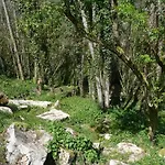 Gite Moulin Du Cros Proche Saint Emillon Pour 4 A 6 Personnes Дом отдыха *