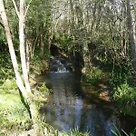 Moulin Du Cros Proche Saint Emillon Pour 4 A 6 Personnes Σπίτι διακοπών *