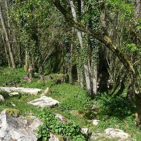 Moulin Du Cros Proche Saint Emillon Pour 4 A 6 Personnes Semesterbostad Faleyras