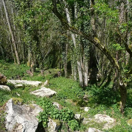 Moulin Du Cros Proche Saint Emillon Pour 4 A 6 Personnes Prázdninový dům *