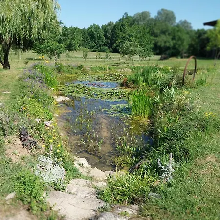 Moulin Du Cros Proche Saint Emillon Pour 4 A 6 Personnes Faleyras