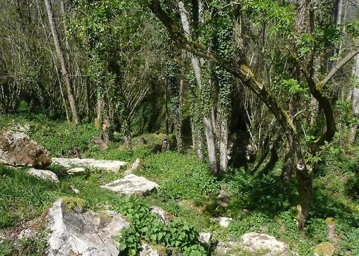Gite Moulin Du Cros Proche Saint Emillon Pour 4 A 6 Personnes 펜션 Faleyras