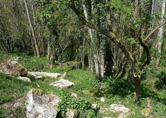 Gite Moulin Du Cros Proche Saint Emillon Pour 4 A 6 Personnes 펜션 *