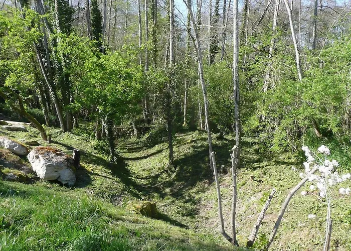 Gite Moulin Du Cros Proche Saint Emillon Pour 4 A 6 Personnes 펜션 Faleyras