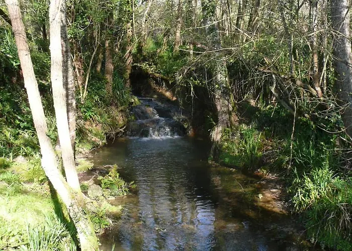 Gite Moulin Du Cros Proche Saint Emillon Pour 4 A 6 Personnes 펜션 *